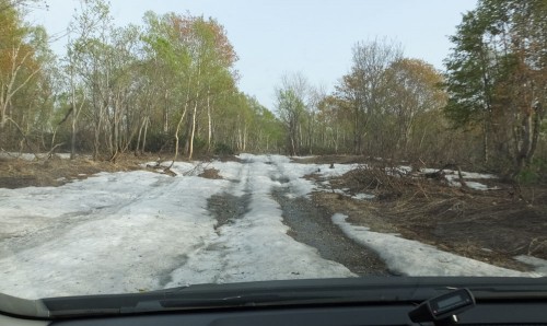 林道の雪は北面を残すのみ！