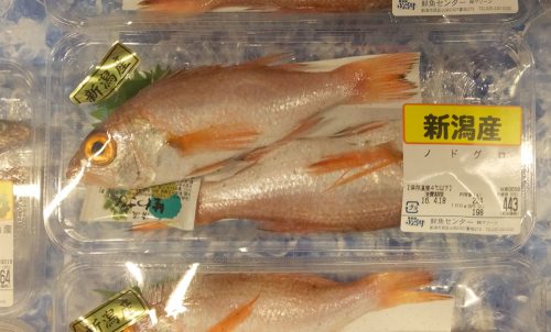 同じく新潟の市場にて、高級魚ののどぐろを発見！